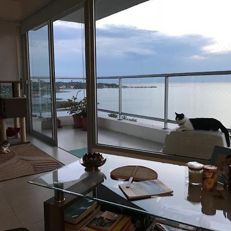 Luz De Jacinta Apartment Colonia del Sacramento Bagian luar foto