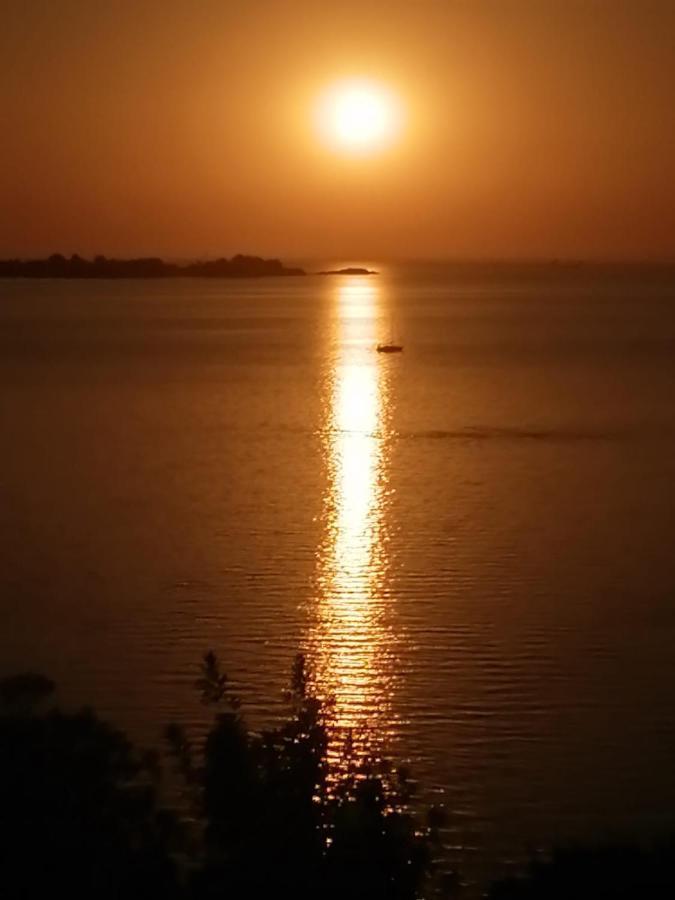 Luz De Jacinta Apartment Colonia del Sacramento Bagian luar foto