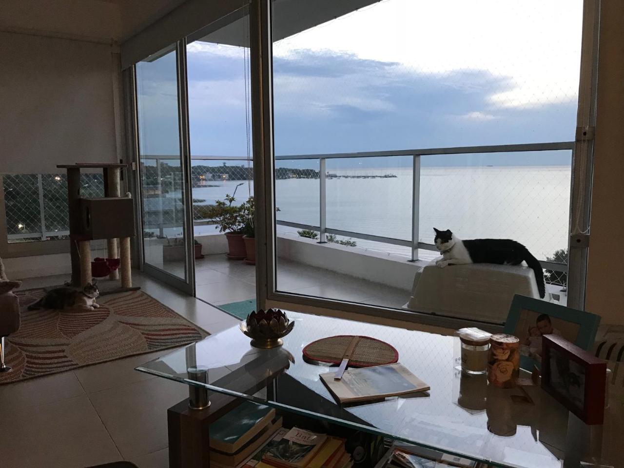 Luz De Jacinta Apartment Colonia del Sacramento Bagian luar foto